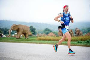 BIB: 2016
                            <button type="button" onclick="openModal(22401314)" class="btn btn-primary btn-sm float-right btn-popup" data-toggle="modal" data-target=".modal-high-quality">
                        <i class="fas fa-shopping-cart"></i> Add to Cart
                    </button>
                                            <button type="button" onclick="isThisMe(22401314, true)" class="btn btn-success btn-sm float-right btn-popup btn-isme hidden" data-toggle="tooltip" data-placement="bottom" title="นี่คือรูปของคุณใช่ไหม คลิกที่นี่เพื่อเอาเข้าอัลบั้ม">
                        <i class="fas fa-plus"></i> Add to album
                    </button>
                    <button type="button" onclick="isThisMe(22401314, false)" class="btn btn-warning btn-sm float-right btn-popup btn-isnotme hidden">
                        <i class="fas fa-ban"></i> Remove from album
                    </button>